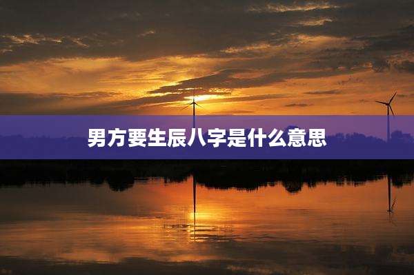 男方要生辰八字是什么意思