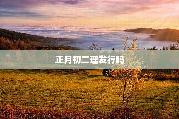 正月初二理发行吗