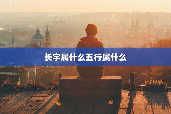 长字属什么五行属什么