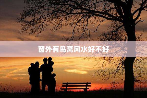 窗外有鸟窝风水好不好