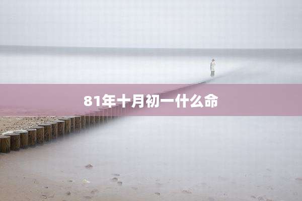 81年十月初一什么命