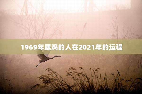 1969年属鸡的人在2021年的运程