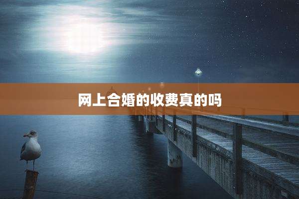 网上合婚的收费真的吗