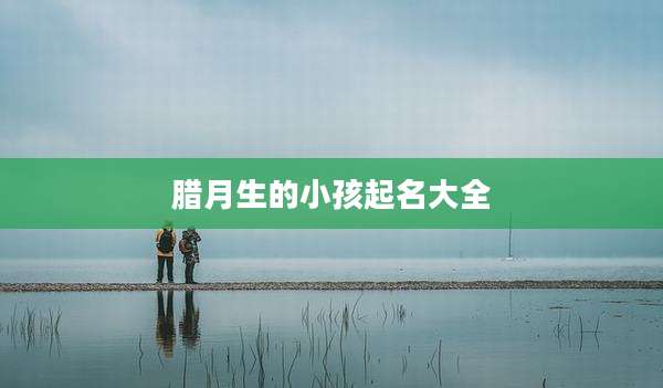 腊月生的小孩起名大全