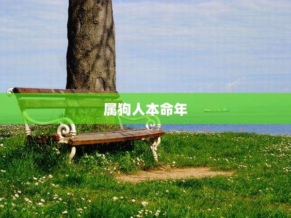 属狗人本命年