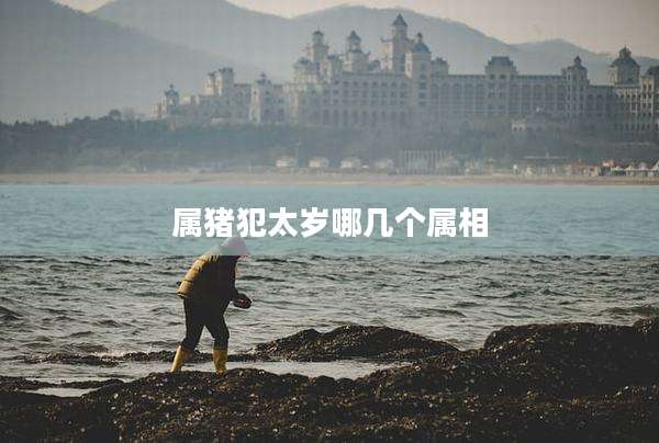 属猪犯太岁哪几个属相