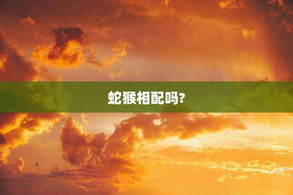 蛇猴相配吗?
