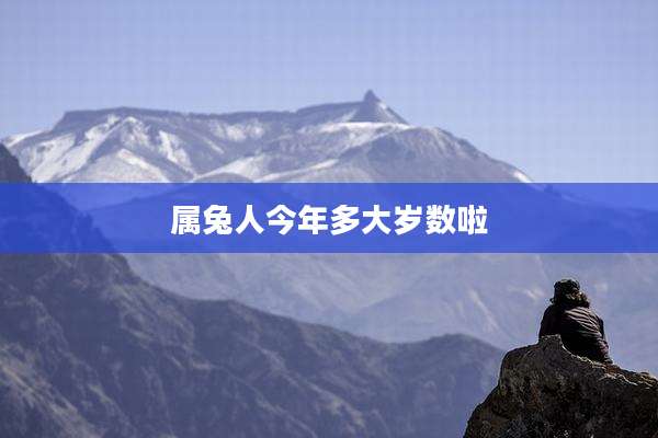 属兔人今年多大岁数啦