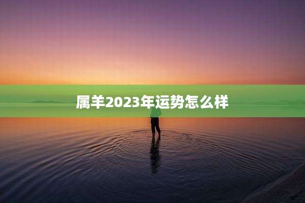 属羊2023年运势怎么样
