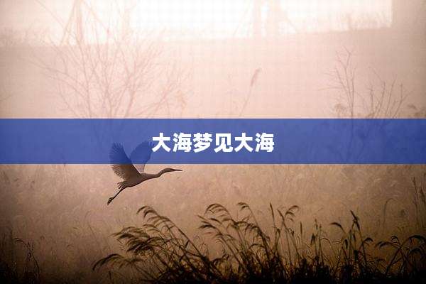 大海梦见大海