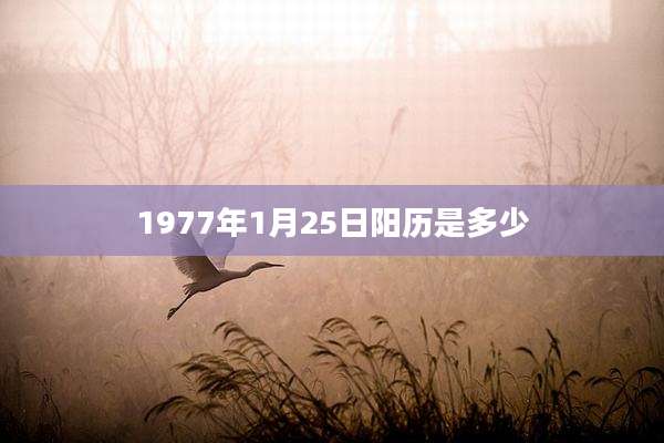 1977年1月25日阳历是多少