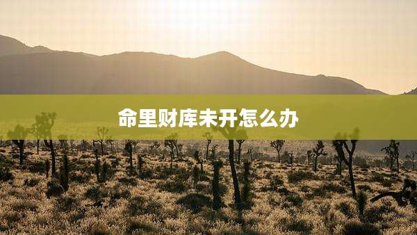 命里财库未开怎么办