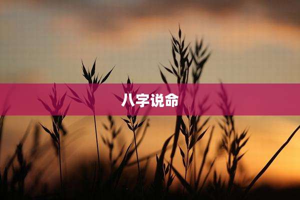 八字说命
