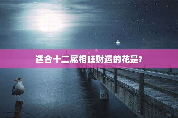 适合十二属相旺财运的花是?