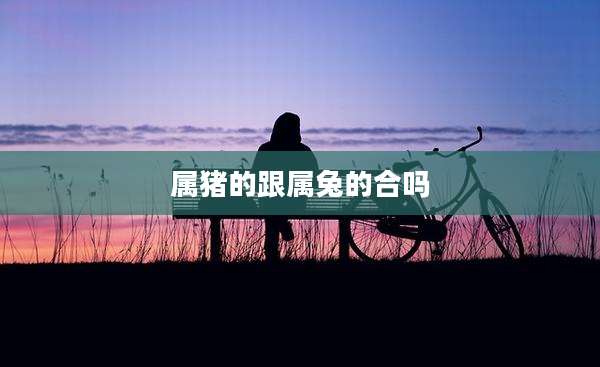 属猪的跟属兔的合吗