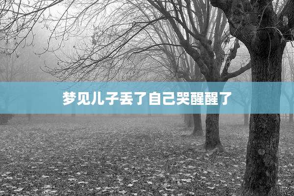 梦见儿子丢了自己哭醒醒了