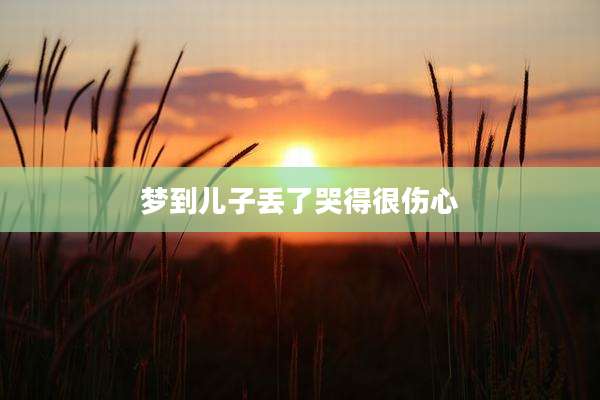 梦到儿子丢了哭得很伤心