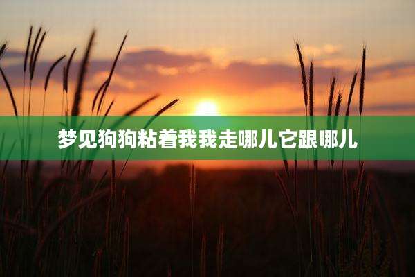 梦见狗狗粘着我我走哪儿它跟哪儿