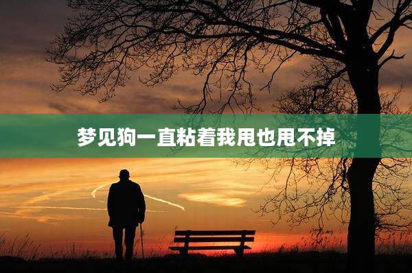 梦见狗一直粘着我甩也甩不掉