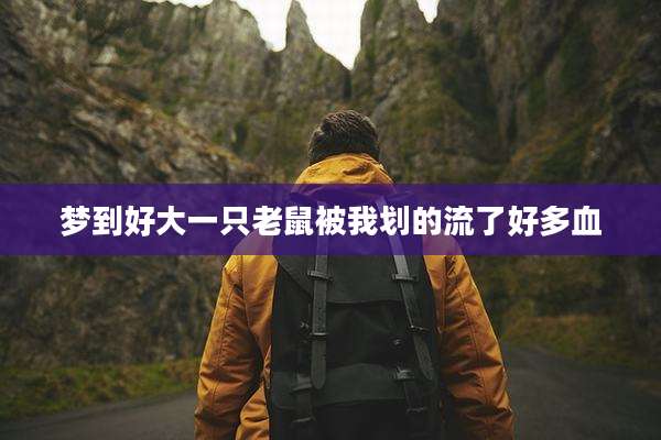 梦到好大一只老鼠被我划的流了好多血