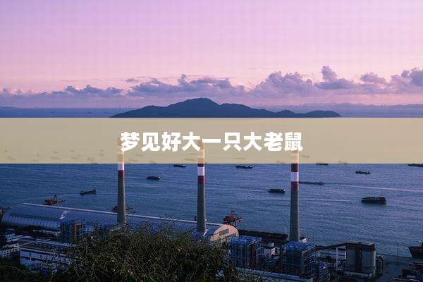 梦见好大一只大老鼠