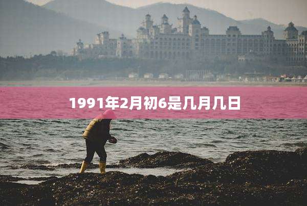 1991年2月初6是几月几日