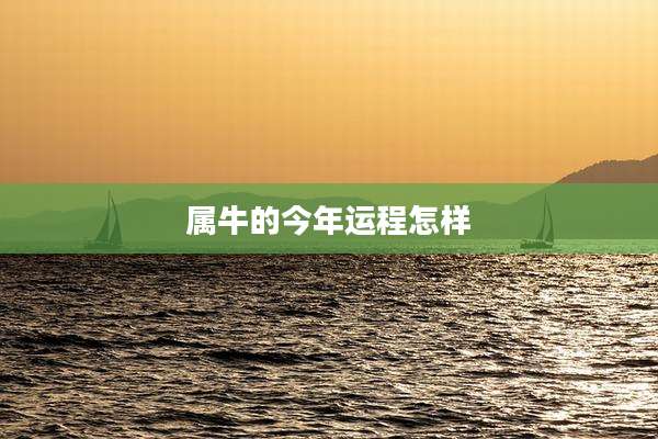 属牛的今年运程怎样