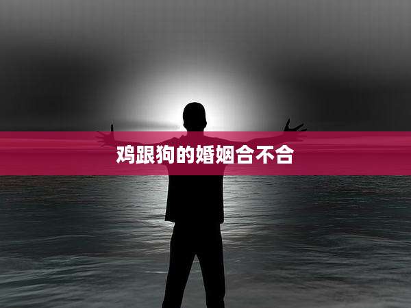 鸡跟狗的婚姻合不合