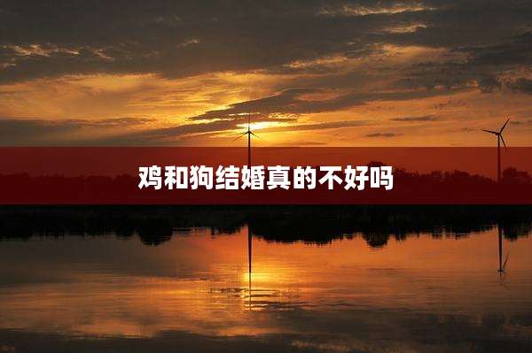 鸡和狗结婚真的不好吗
