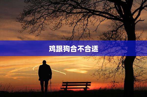 鸡跟狗合不合适