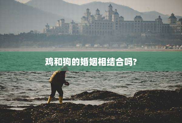 鸡和狗的婚姻相结合吗?