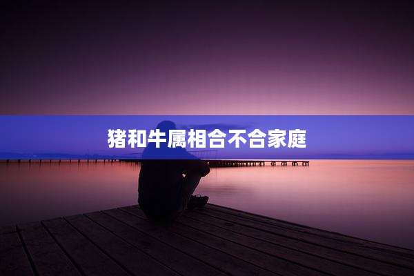 猪和牛属相合不合家庭
