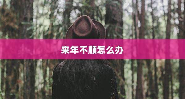 来年不顺怎么办