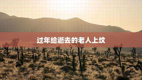 过年给逝去的老人上坟