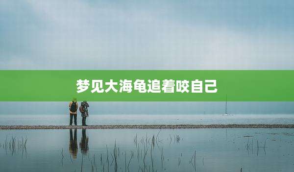 梦见大海龟追着咬自己