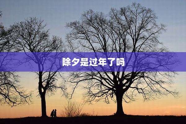 除夕是过年了吗