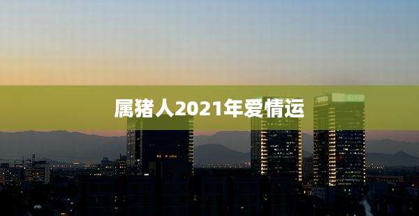 属猪人2021年爱情运