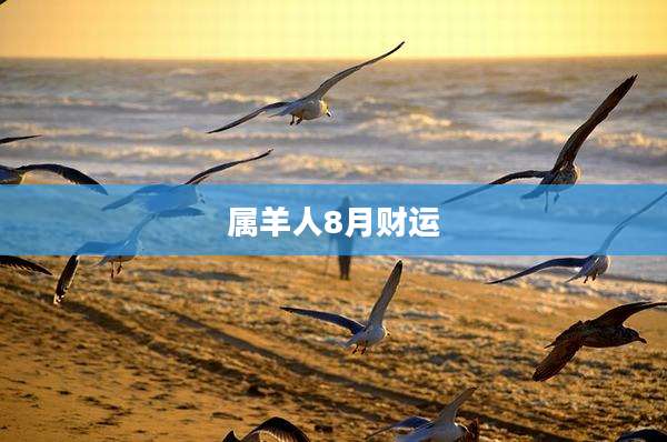 属羊人8月财运