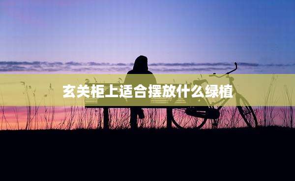玄关柜上适合摆放什么绿植