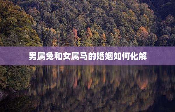 男属兔和女属马的婚姻如何化解