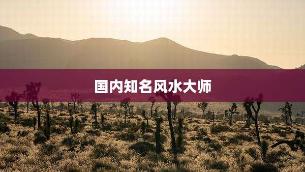 国内知名风水大师