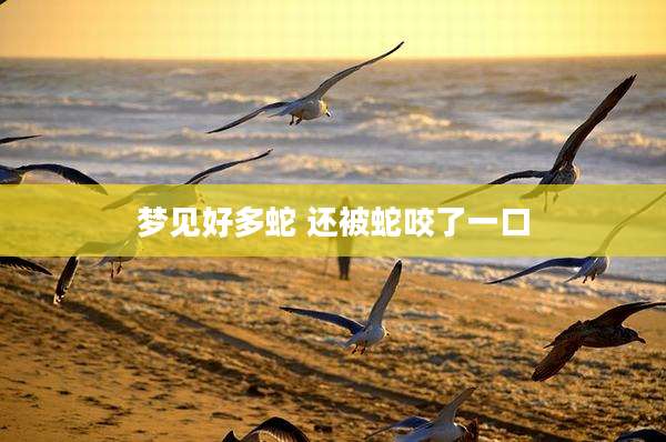 梦见好多蛇 还被蛇咬了一口