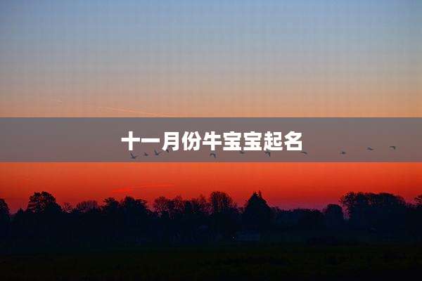 十一月份牛宝宝起名