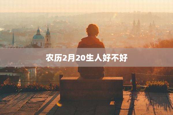 农历2月20生人好不好