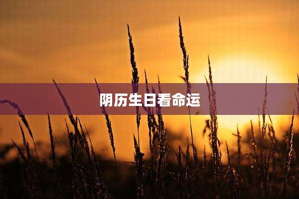 阴历生日看命运