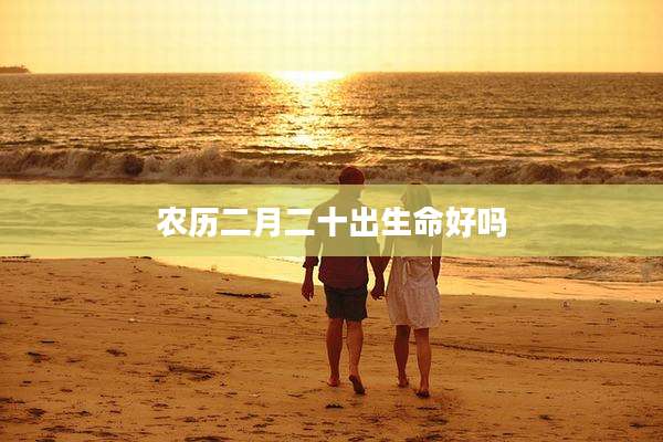 农历二月二十出生命好吗