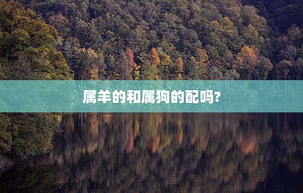 属羊的和属狗的配吗?