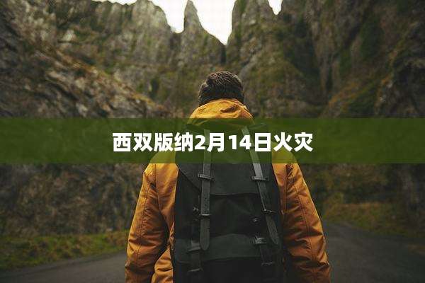 西双版纳2月14日火灾