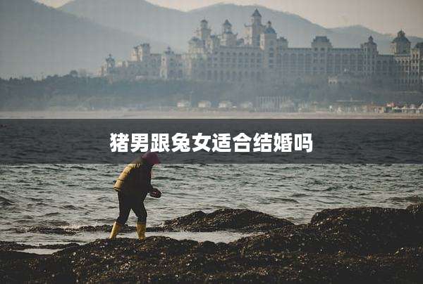 猪男跟兔女适合结婚吗