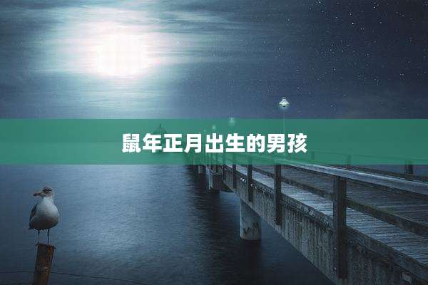 鼠年正月出生的男孩